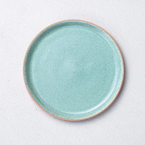 May include: A light blue ceramic plate with a speckled finish and a light brown rim.