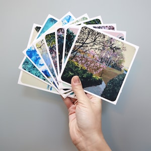 Juego de 8 cartas: pinturas de jardines y paisajes de Noelle Phares