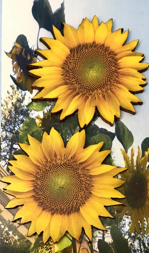 Sunflower Setsunflower Giftfridge Etsy