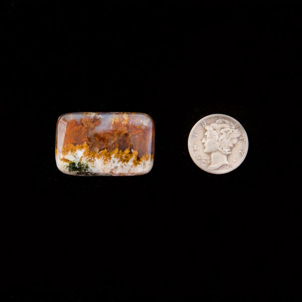 Linda Marie Plume Agate Cabochon from Oregon