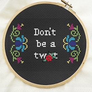Subversive stitch kit, cross stitch kit beginner, fun modern stitch kit
