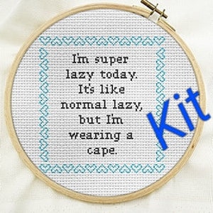 diy modern cross stitch kit, Funny cross stitch kit, subversive cross stitch, beginner stitch kit, snarky, gift for her, craft supply home