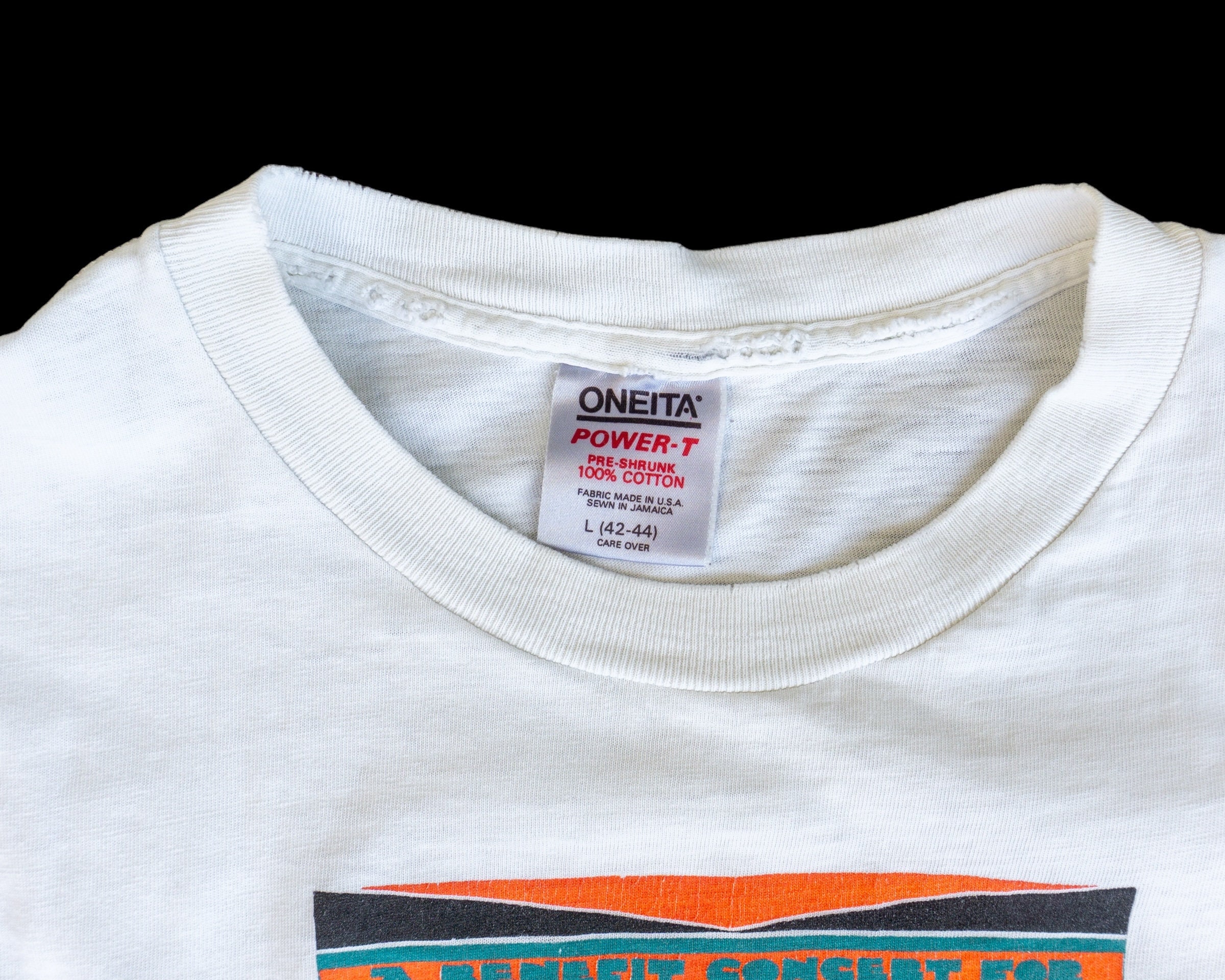 90s Vintage Bonnie Raitt Concert Shirt | Lyle Lovett Tour T