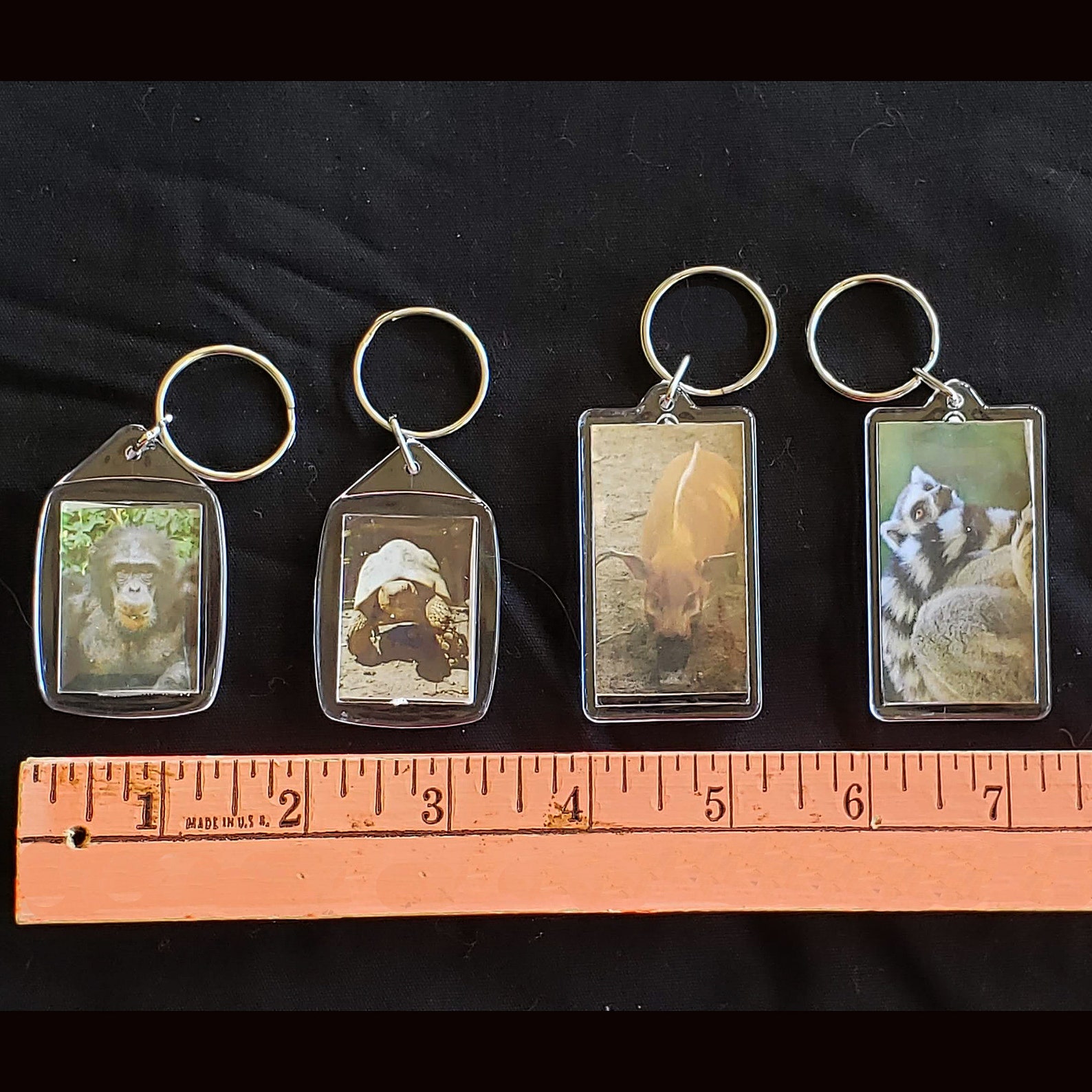 KC Zoo Animal Keychain Set 6 Etsy
