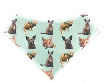 The Printed Pup pet bandana