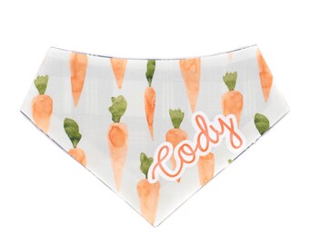 The Carrot Chaser pet bandana