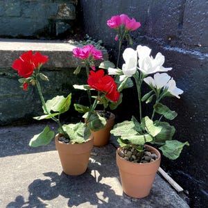 Piante di geranio di carta fatte a mano / Gerani crespi italiani / Fiori di carta fatti a mano / Piante uniche fatte a mano / Fleur Crépon / Piante eterne