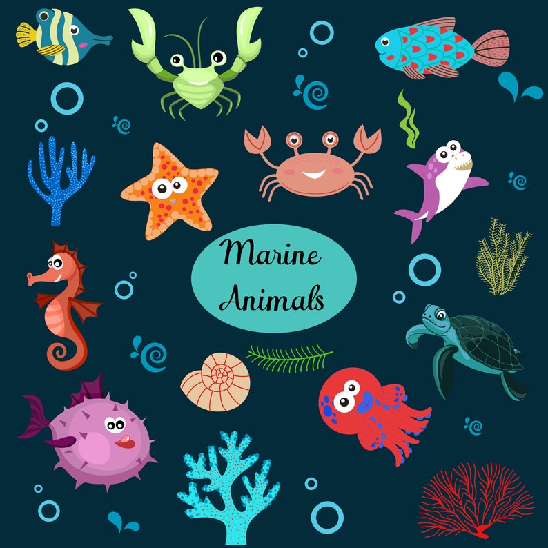 Starfish Marine animal clipart Squid Shark Ocean Clipart Dolphin Sea life Digital Clipart set Sea Horse Under the Sea Clipart Whale