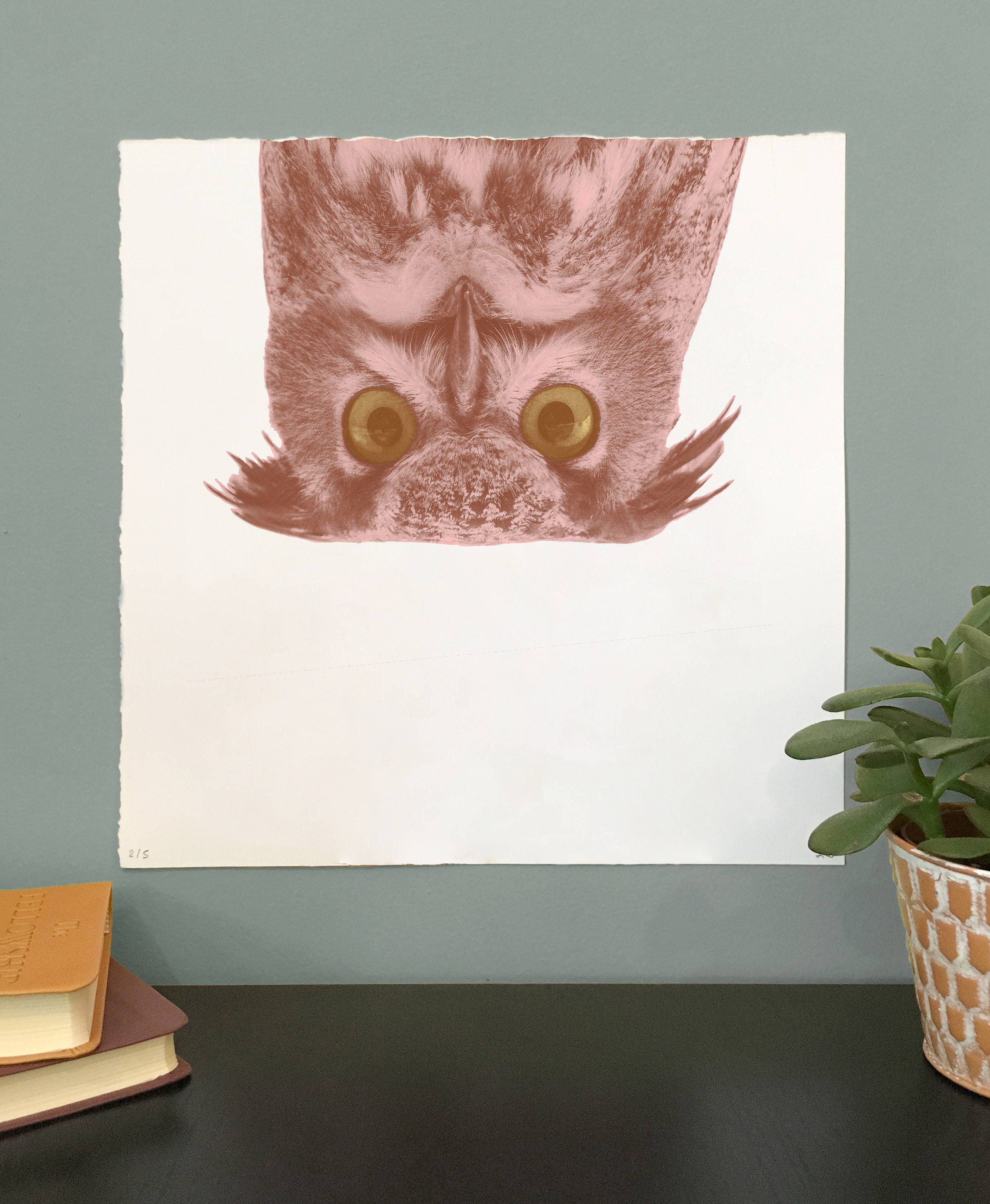 Original al revés búho serigrafía cartel ideal para la | Etsy