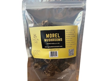 Dried Morel Mushrooms | Wild Foraged Morels | Gourmet Wild Mushrooms | Michigan Harvest | Great Lakes Treats 0.5oz