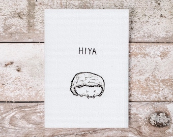 Hedgehog Illustration Postcard - Friendship Card