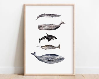 Watercolor Whale Print: Sea Creatures Illustration