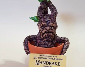 Mandrake inspired by Harry Potter