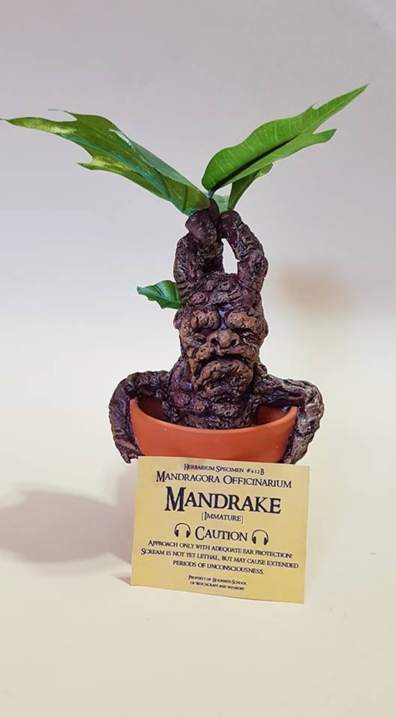 Mandrake Inspired By Harry Potter Etsy Mandrake Inspired By Harry Potter Etsy