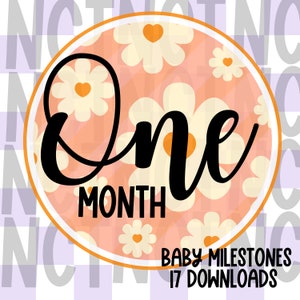 Bundle d'étapes importantes pour bébé, jalons de fleurs rétro, un mois PNG, motifs sublimation bébé, motifs de T-shirt, téléchargement numérique, fichier numérique