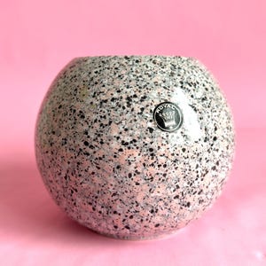 Puede incluir: Un macetero redondo de cerámica blanca con motas negras. El macetero tiene una pegatina negra y blanca con la palabra "Royal" y una corona.