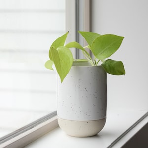 Speckled Ceramic Planter with Inbuilt Dish Plant Saucer Tray Modern Handmade Pottery White Clay Flower Pot Succulent/Indoor Garden image 4