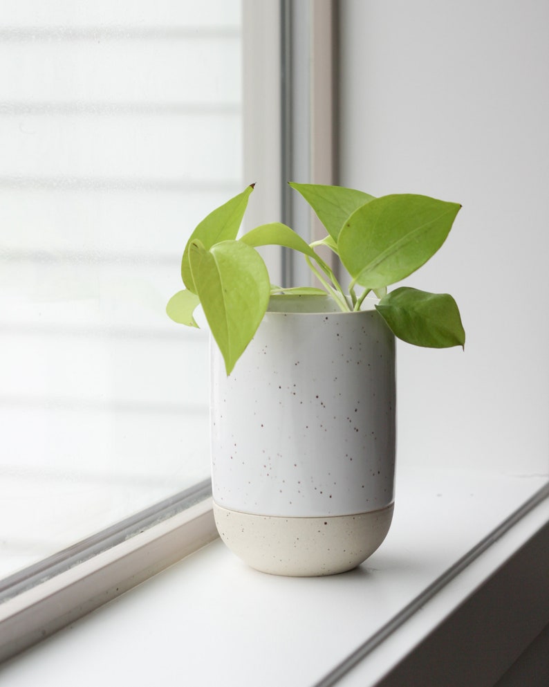 Speckled Ceramic Planter with Inbuilt Dish Plant Saucer Tray Modern Handmade Pottery White Clay Flower Pot Succulent/Indoor Garden image 4