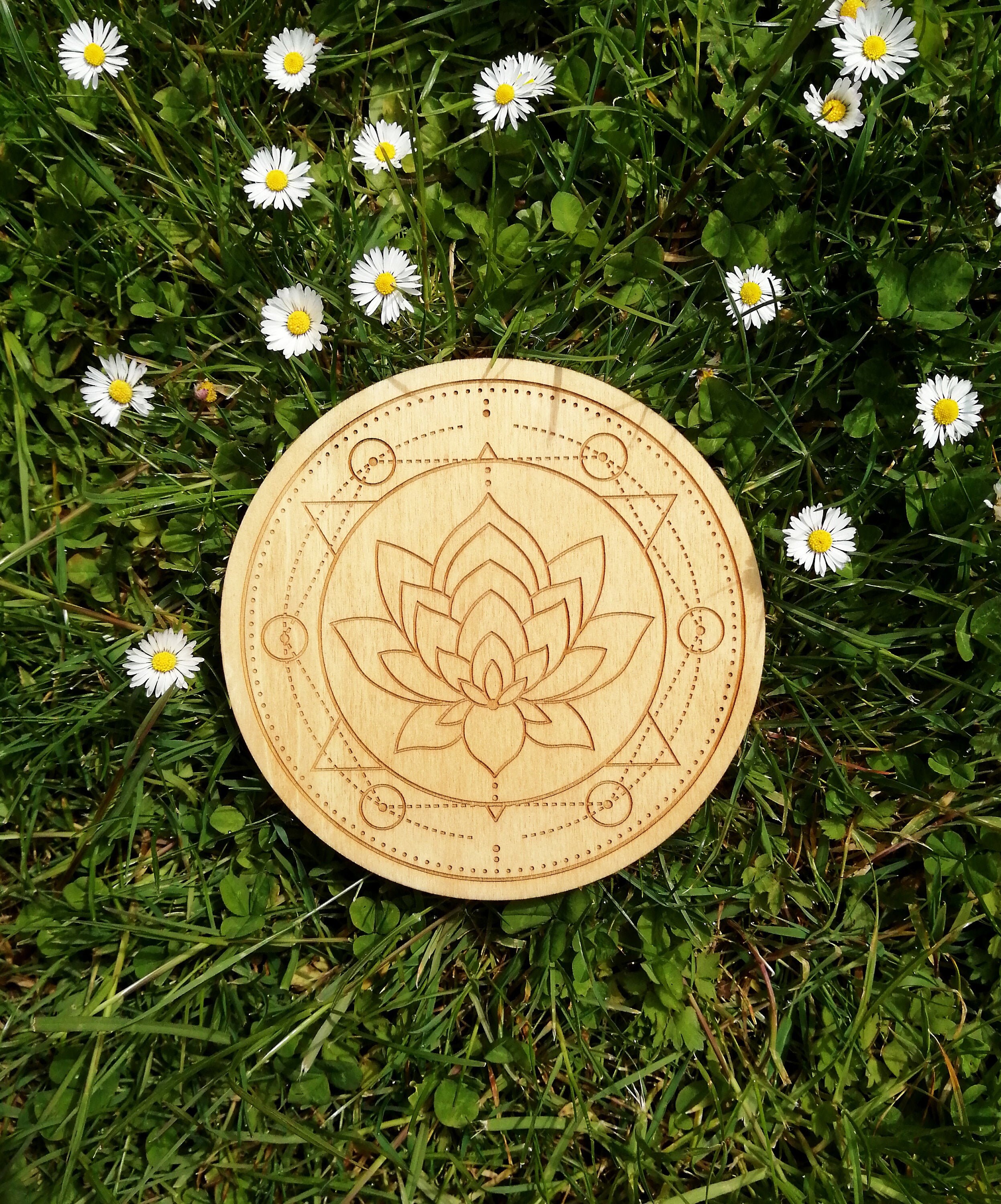 Fleur de Vie, Fleur, Méditation, Spiritualité, Bien-Être, Zen