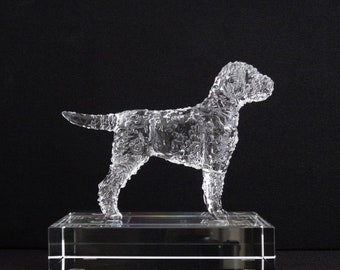 Lagotto Romagnolo