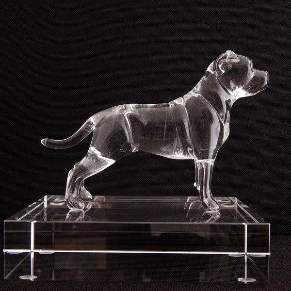 Staffordshire Bull Terrier