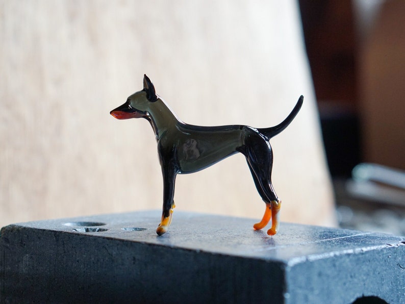 English Toy Terrier image 2