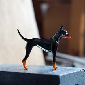 English Toy Terrier image 1