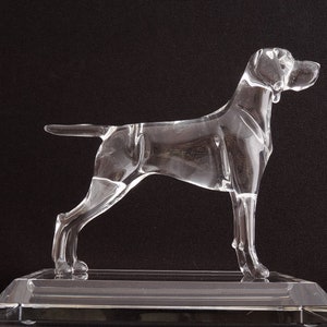Vizsla
