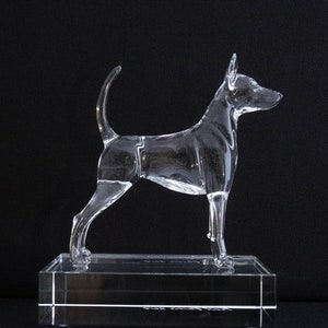 Miniature Pinscher