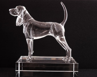 Zwart en Tan Coonhound