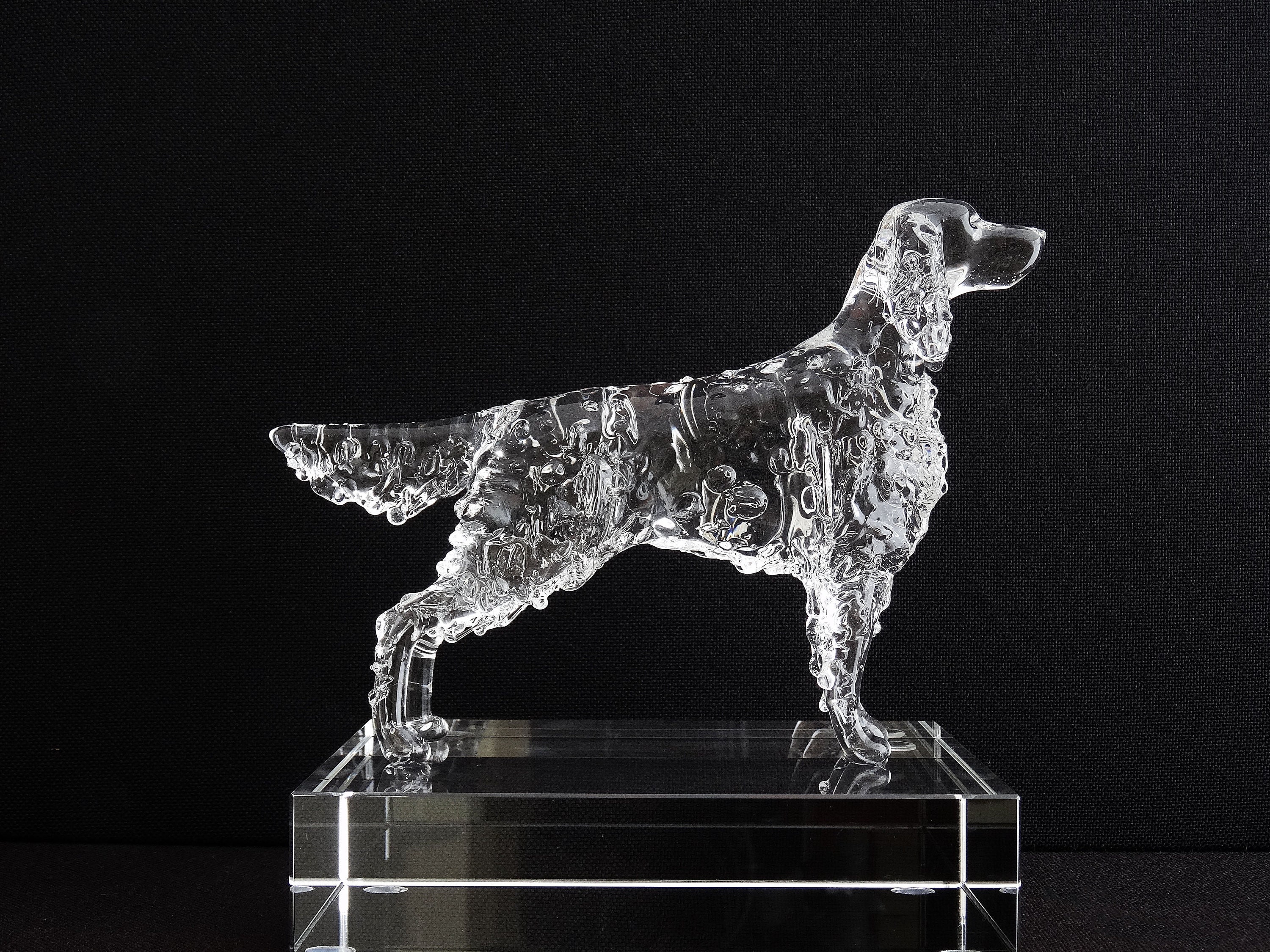 Irish Setter