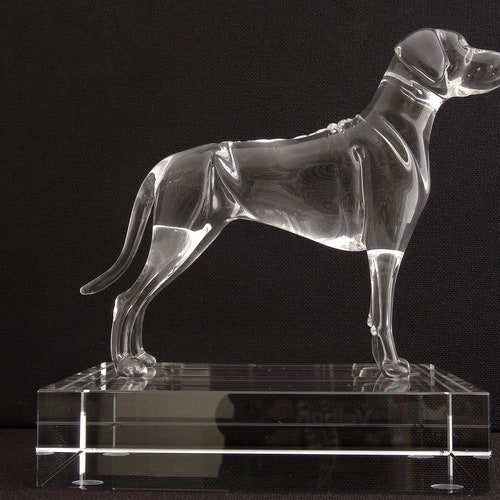Rhodesian Ridgeback Dog Breed Shadow Box SVG 3d Papercut SVG - Etsy