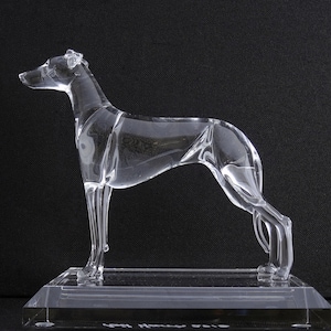 Greyhound