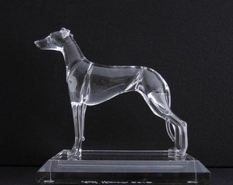 Greyhound