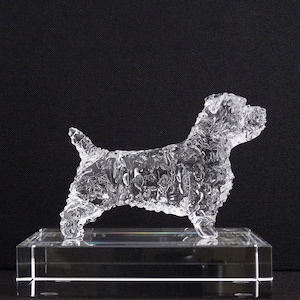 Glen of Imaal Terrier