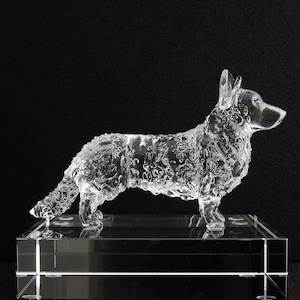 Cardigan Corgi
