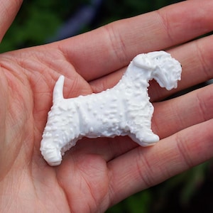 Sealyham Terrier