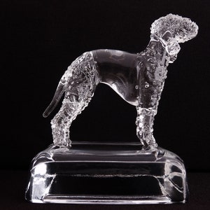 Bedlington Terrier