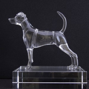 German Pinscher