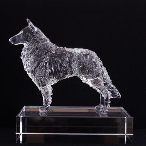 Belgian Shepherd