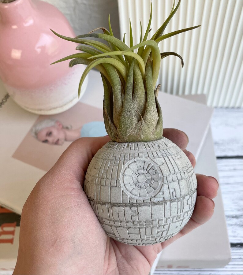 Small Concrete Death Star AIR PLANT holder, air plant gift , planter pot, geek gift, concrete decor, housewarming gift, sci-fi gift image 9