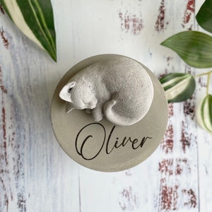 Small indoor personalised Concrete urn cat urn pet urn cat memorial pet memorial pet memorial pot laser engraved urn image 2