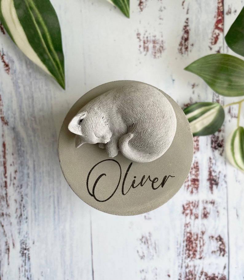 Small indoor personalised Concrete urn cat urn pet urn cat memorial pet memorial pet memorial pot laser engraved urn image 2