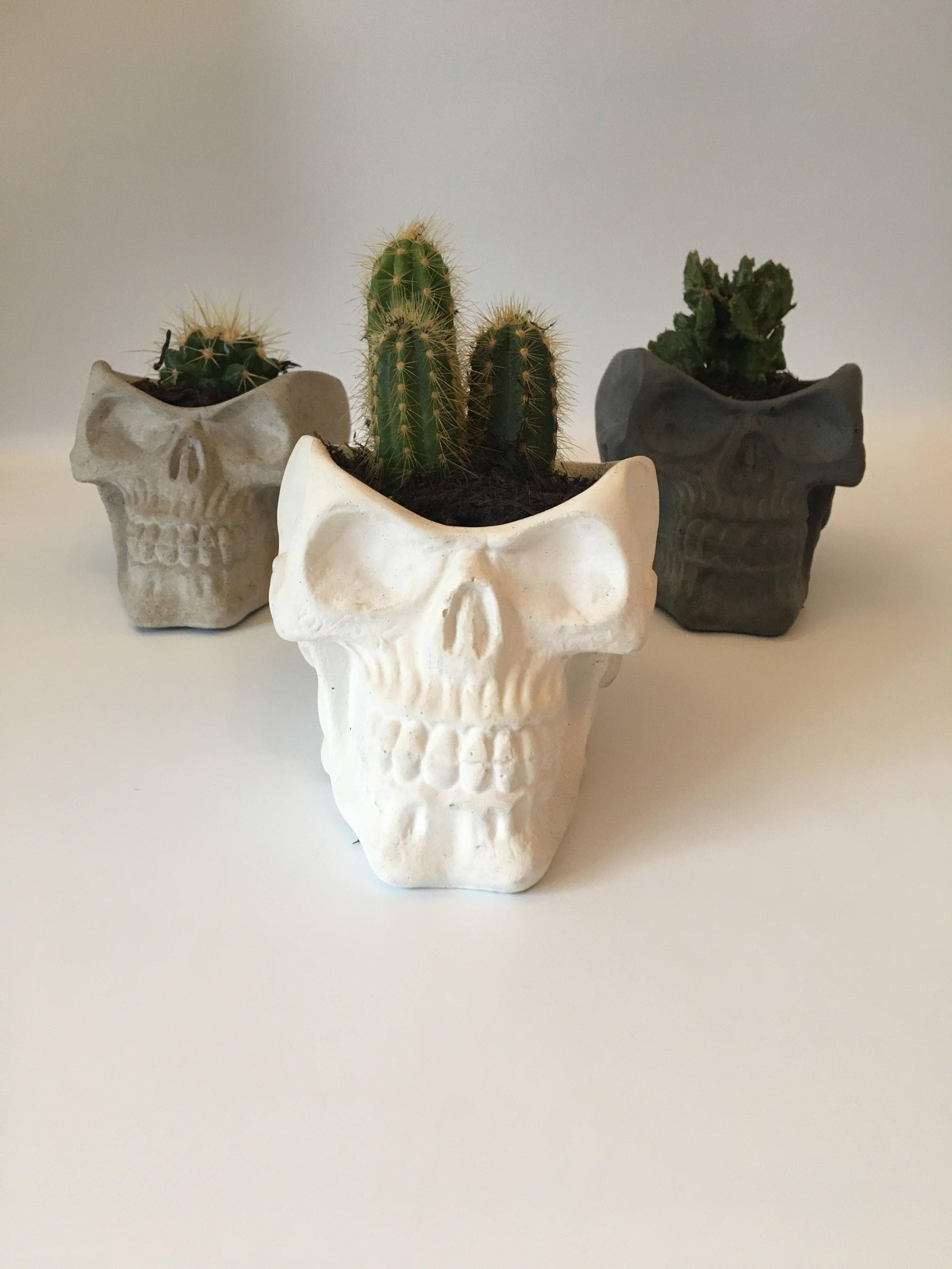 Concrete skull plantercactus plantersucculent Etsy