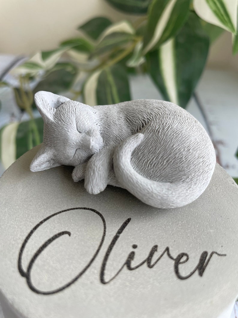 Small indoor personalised Concrete urn cat urn pet urn cat memorial pet memorial pet memorial pot laser engraved urn image 4