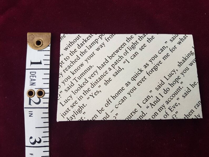 Children/'s Book party supply Book theme place card Literature wedding decor Seed Envelopes Narnia Page Mini Envelopes Quirky wedding