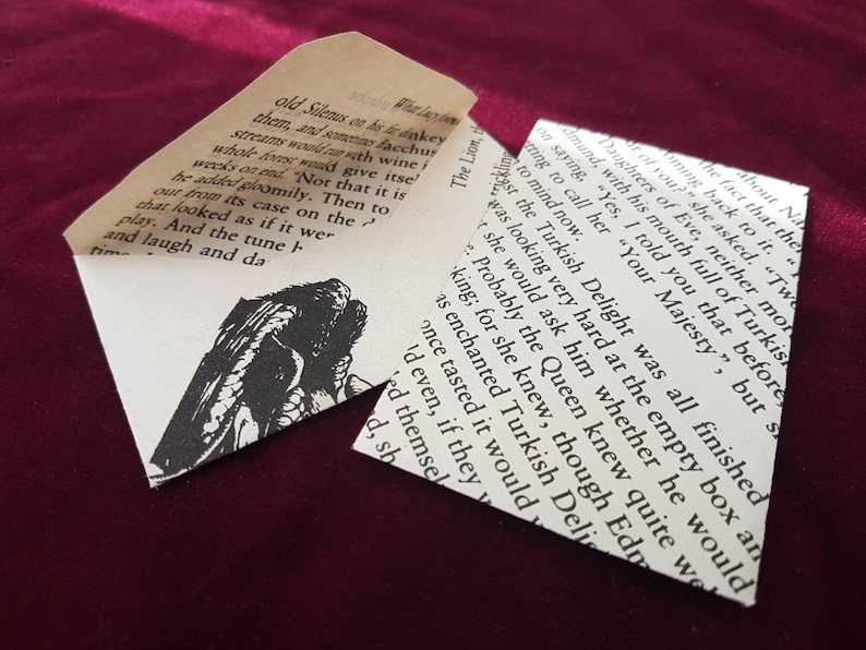 Children/'s Book party supply Book theme place card Literature wedding decor Seed Envelopes Narnia Page Mini Envelopes Quirky wedding