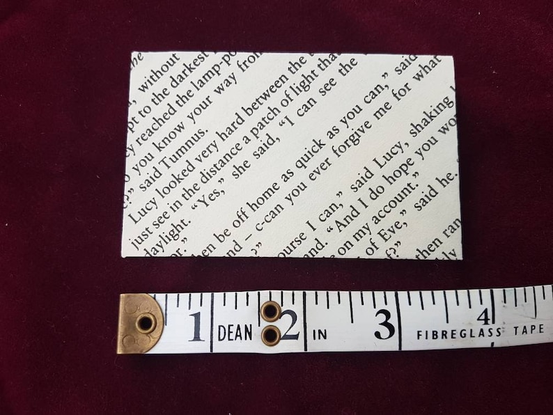Children/'s Book party supply Book theme place card Literature wedding decor Seed Envelopes Narnia Page Mini Envelopes Quirky wedding