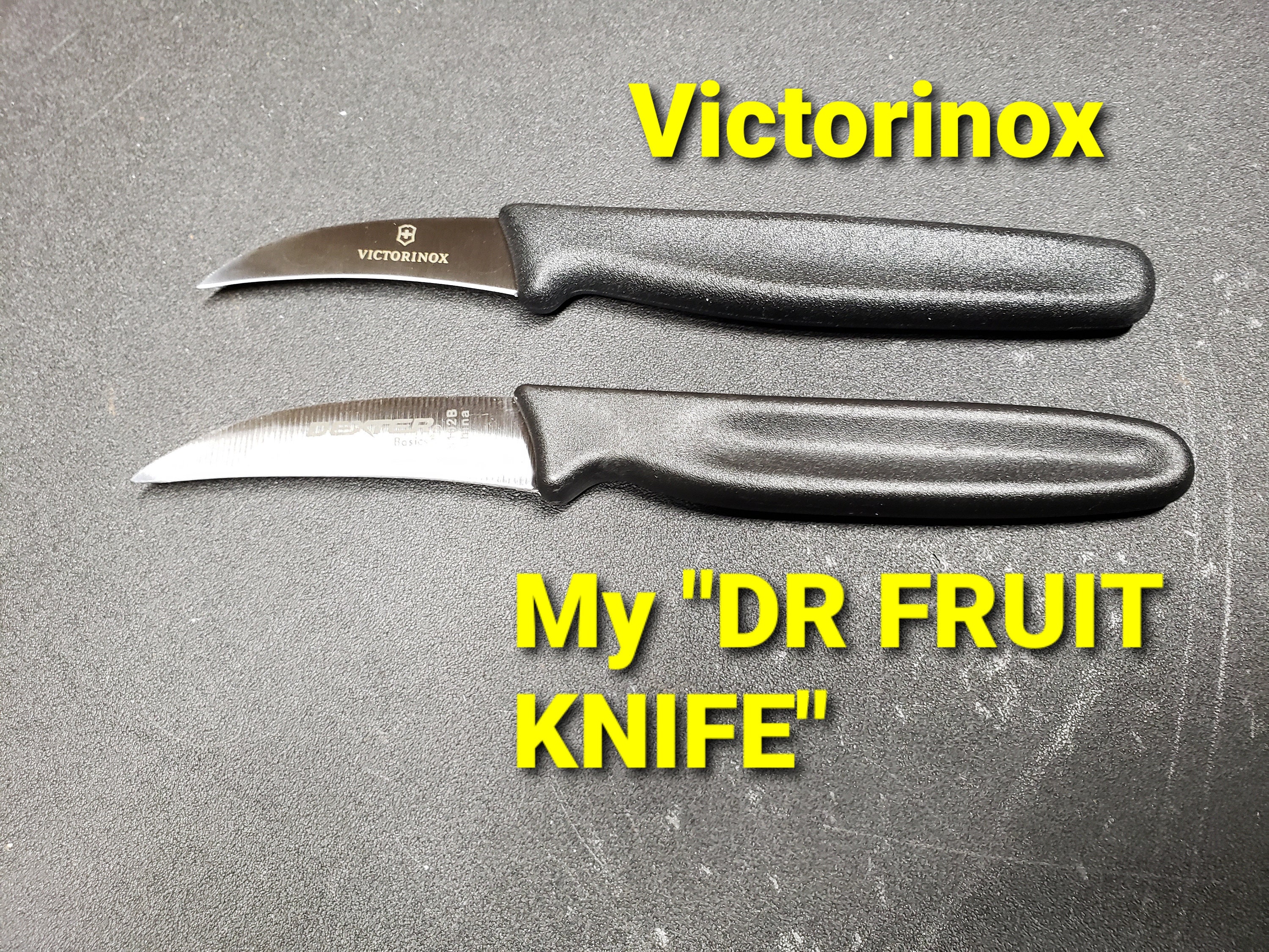 Pikal Knife & Sheath W/ or W/out Finger Notch dr Fruit Knife victorinox  Bird's Beak Paring / Fruit Knife Substitute 