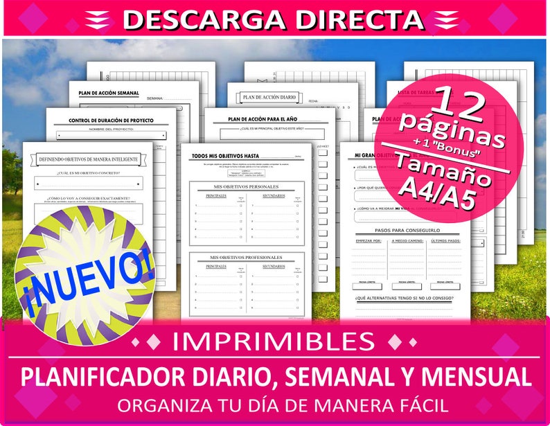 Schedule y pdf Schedule y pdf